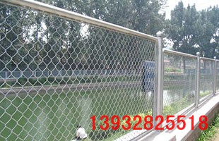 ���ھW(w��ng)